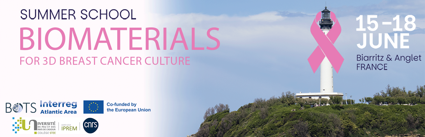 Header Summer School